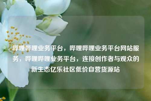 哔哩哔哩业务平台，哔哩哔哩业务平台网站服务	，哔哩哔哩业务平台，连接创作者与观众的新生态亿乐社区低价自营货源站  第1张