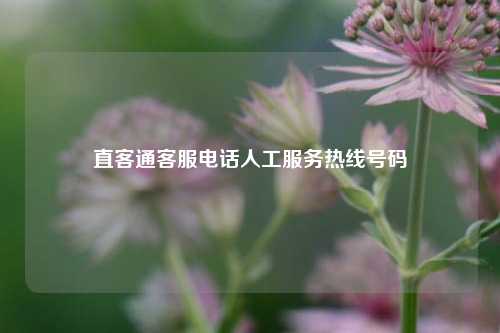 直客通客服电话人工服务热线号码  第1张