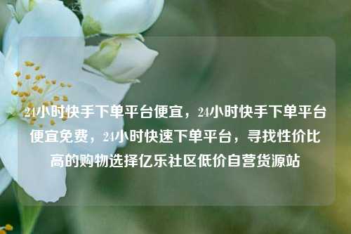24小时快手下单平台便宜，24小时快手下单平台便宜免费	，24小时快速下单平台，寻找性价比高的购物选择亿乐社区低价自营货源站  第1张