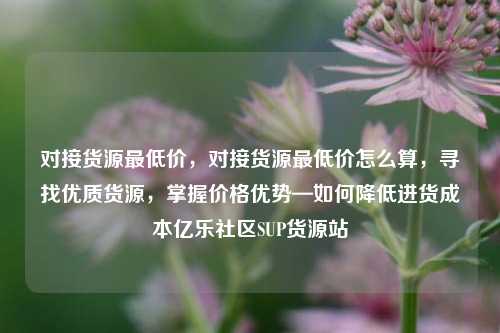 对接货源最低价，对接货源最低价怎么算，寻找优质货源	，掌握价格优势—如何降低进货成本亿乐社区SUP货源站  第1张