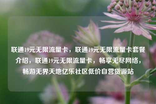 联通19元无限流量卡，联通19元无限流量卡套餐介绍，联通19元无限流量卡，畅享无尽网络	，畅游无界天地亿乐社区低价自营货源站  第1张