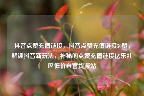 抖音点赞充值链接，抖音点赞充值链接50赞	，解锁抖音新玩法，神秘的点赞充值链接亿乐社区低价自营货源站  第1张
