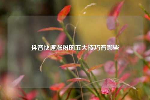 抖音快速涨粉的五大技巧有哪些  第1张