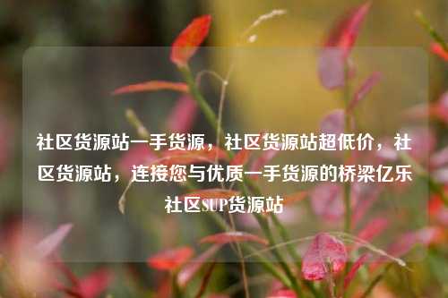 社区货源站一手货源，社区货源站超低价，社区货源站，连接您与优质一手货源的桥梁亿乐社区SUP货源站  第1张