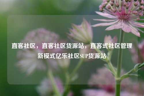 直客社区	，直客社区货源站，直客式社区管理新模式亿乐社区SUP货源站  第1张