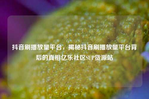 抖音刷播放量平台，揭秘抖音刷播放量平台背后的真相亿乐社区SUP货源站  第1张