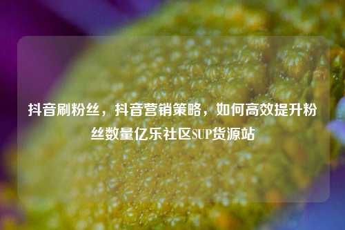 抖音刷粉丝，抖音营销策略，如何高效提升粉丝数量亿乐社区SUP货源站  第1张