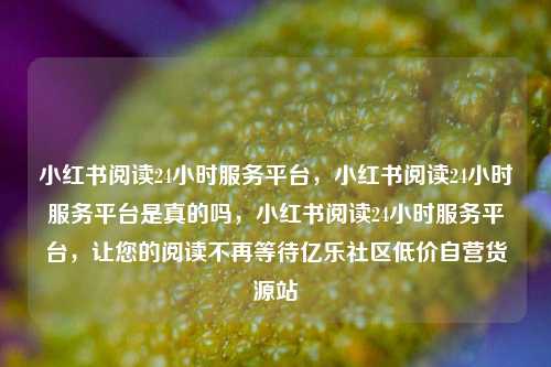 小红书阅读24小时服务平台，小红书阅读24小时服务平台是真的吗，小红书阅读24小时服务平台	，让您的阅读不再等待亿乐社区低价自营货源站  第1张
