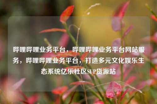 哔哩哔哩业务平台，哔哩哔哩业务平台网站服务，哔哩哔哩业务平台	，打造多元文化娱乐生态系统亿乐社区SUP货源站  第1张