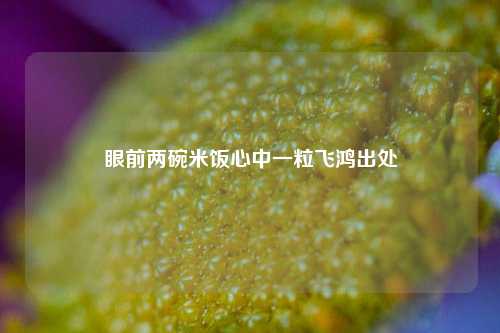 眼前两碗米饭心中一粒飞鸿出处  第1张
