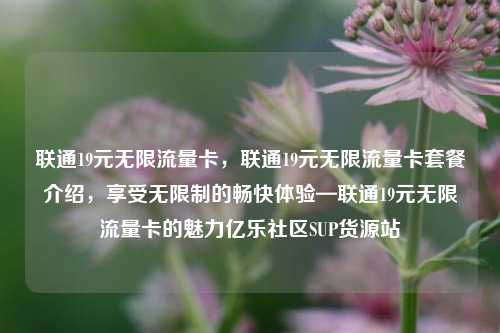 联通19元无限流量卡，联通19元无限流量卡套餐介绍	，享受无限制的畅快体验—联通19元无限流量卡的魅力亿乐社区SUP货源站  第1张
