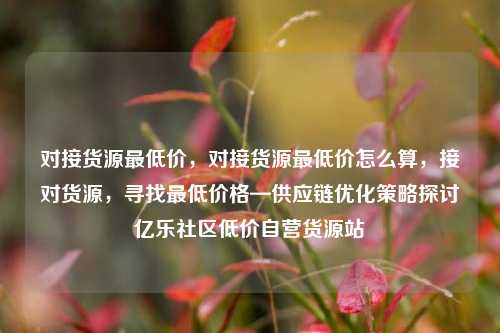 对接货源最低价，对接货源最低价怎么算	，接对货源，寻找最低价格—供应链优化策略探讨亿乐社区低价自营货源站  第1张