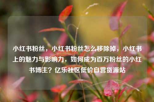 小红书粉丝，小红书粉丝怎么移除掉，小红书上的魅力与影响力	，如何成为百万粉丝的小红书博主？亿乐社区低价自营货源站  第1张