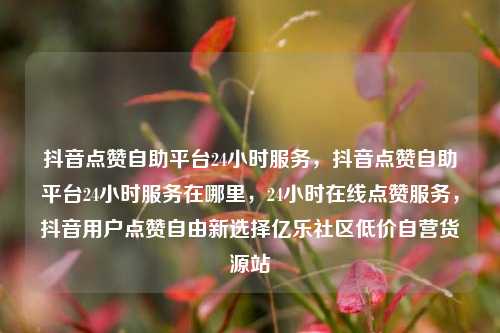 抖音点赞自助平台24小时服务	，抖音点赞自助平台24小时服务在哪里，24小时在线点赞服务，抖音用户点赞自由新选择亿乐社区低价自营货源站  第1张