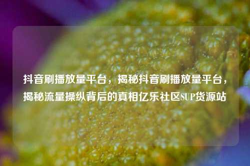 抖音刷播放量平台，揭秘抖音刷播放量平台	，揭秘流量操纵背后的真相亿乐社区SUP货源站  第1张
