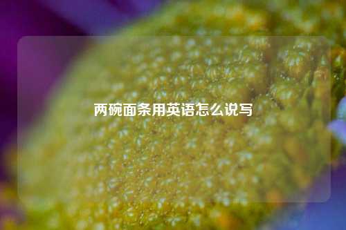 两碗面条用英语怎么说写  第1张