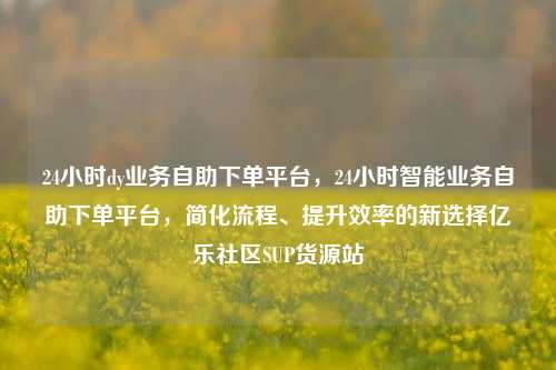 24小时dy业务自助下单平台，24小时智能业务自助下单平台，简化流程、提升效率的新选择亿乐社区SUP货源站  第1张