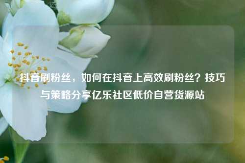 抖音刷粉丝，如何在抖音上高效刷粉丝？技巧与策略分享亿乐社区低价自营货源站  第1张
