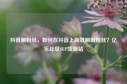抖音刷粉丝，如何在抖音上高效刷取粉丝？亿乐社区SUP货源站  第1张