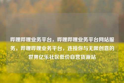 哔哩哔哩业务平台，哔哩哔哩业务平台网站服务	，哔哩哔哩业务平台，连接你与无限创意的世界亿乐社区低价自营货源站  第1张