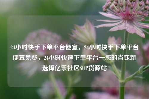 24小时快手下单平台便宜，24小时快手下单平台便宜免费，24小时快速下单平台—您的省钱新选择亿乐社区SUP货源站  第1张