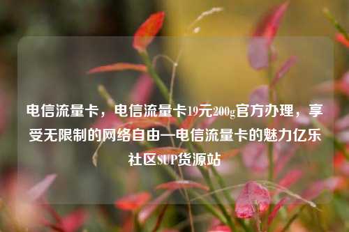 电信流量卡，电信流量卡19元200g官方办理	，享受无限制的网络自由—电信流量卡的魅力亿乐社区SUP货源站  第1张