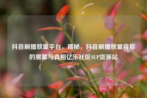 抖音刷播放量平台，揭秘	，抖音刷播放量背后的黑幕与真相亿乐社区SUP货源站  第1张