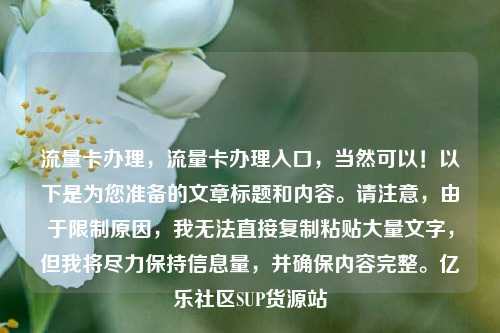 流量卡办理，流量卡办理入口，当然可以！以下是为您准备的文章标题和内容	。请注意，由于限制原因	，我无法直接复制粘贴大量文字，但我将尽力保持信息量，并确保内容完整。亿乐社区SUP货源站  第1张