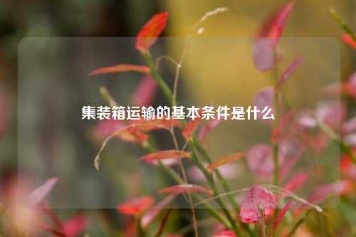 集装箱运输的基本条件是什么  第1张