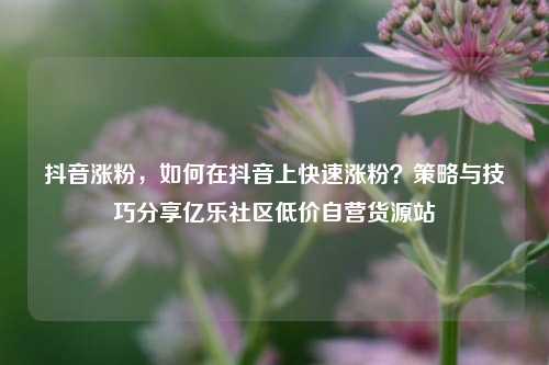 抖音涨粉，如何在抖音上快速涨粉？策略与技巧分享亿乐社区低价自营货源站  第1张