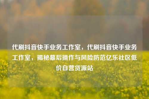 代刷抖音快手业务工作室，代刷抖音快手业务工作室，揭秘幕后操作与风险防范亿乐社区低价自营货源站  第1张