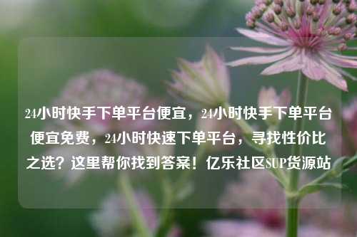 24小时快手下单平台便宜，24小时快手下单平台便宜免费	，24小时快速下单平台，寻找性价比之选？这里帮你找到答案！亿乐社区SUP货源站  第1张