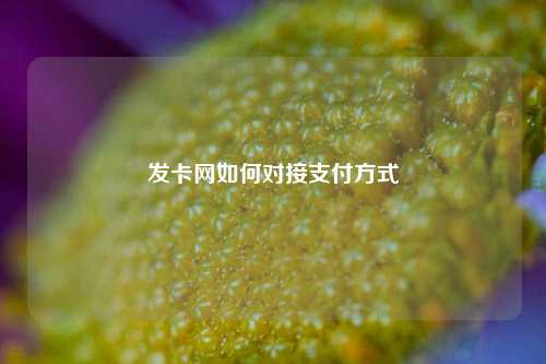 发卡网如何对接支付方式  第1张