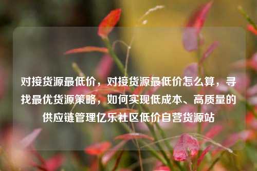 对接货源最低价，对接货源最低价怎么算，寻找最优货源策略	，如何实现低成本、高质量的供应链管理亿乐社区低价自营货源站  第1张