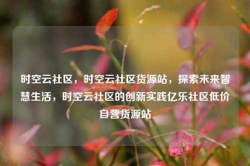 时空云社区，时空云社区货源站，探索未来智慧生活	，时空云社区的创新实践亿乐社区低价自营货源站  第1张