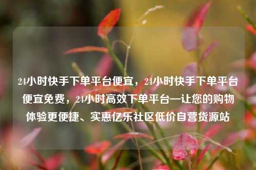 24小时快手下单平台便宜	，24小时快手下单平台便宜免费，24小时高效下单平台—让您的购物体验更便捷	、实惠亿乐社区低价自营货源站  第1张