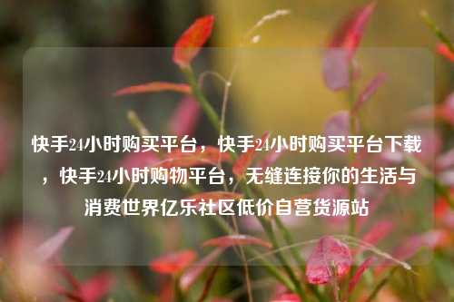 快手24小时购买平台，快手24小时购买平台下载	，快手24小时购物平台，无缝连接你的生活与消费世界亿乐社区低价自营货源站  第1张