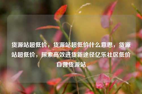 货源站超低价	，货源站超低价什么意思，货源站超低价，探索高效进货新途径亿乐社区低价自营货源站  第1张