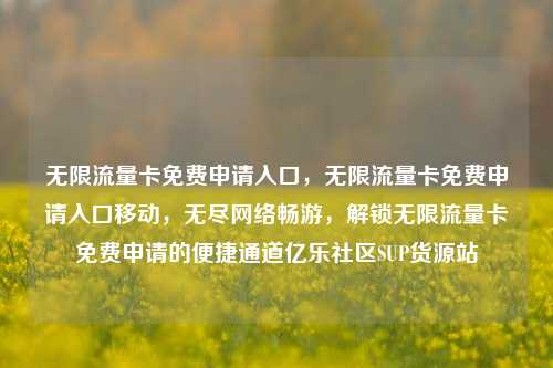 无限流量卡免费申请入口，无限流量卡免费申请入口移动，无尽网络畅游，解锁无限流量卡免费申请的便捷通道亿乐社区SUP货源站  第1张