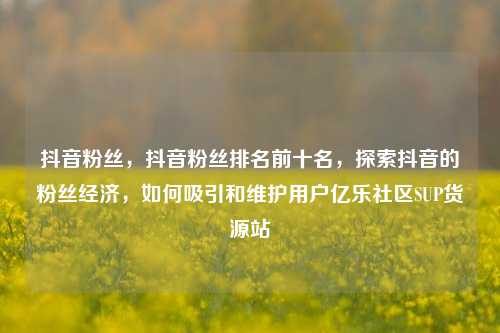 抖音粉丝，抖音粉丝排名前十名，探索抖音的粉丝经济	，如何吸引和维护用户亿乐社区SUP货源站  第1张