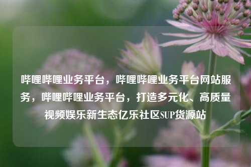 哔哩哔哩业务平台，哔哩哔哩业务平台网站服务	，哔哩哔哩业务平台，打造多元化、高质量视频娱乐新生态亿乐社区SUP货源站  第1张