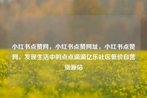 小红书点赞网	，小红书点赞网址，小红书点赞网，发现生活中的点点滴滴亿乐社区低价自营货源站  第1张
