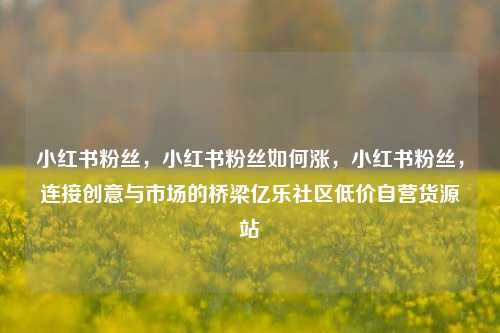 小红书粉丝	，小红书粉丝如何涨，小红书粉丝，连接创意与市场的桥梁亿乐社区低价自营货源站  第1张