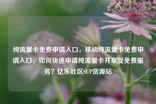 纯流量卡免费申请入口	，移动纯流量卡免费申请入口，如何快速申请纯流量卡并享受免费服务？亿乐社区SUP货源站  第1张