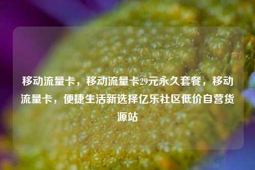 移动流量卡	，移动流量卡29元永久套餐，移动流量卡，便捷生活新选择亿乐社区低价自营货源站  第1张