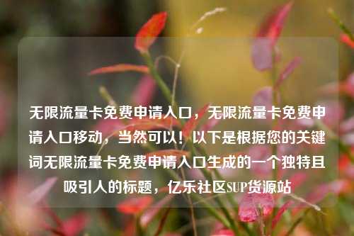 无限流量卡免费申请入口，无限流量卡免费申请入口移动，当然可以！以下是根据您的关键词无限流量卡免费申请入口生成的一个独特且吸引人的标题	，亿乐社区SUP货源站  第1张