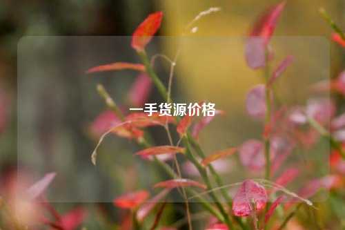 一手货源价格  第1张