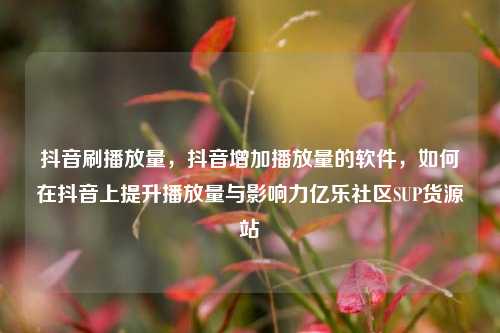 抖音刷播放量，抖音增加播放量的软件，如何在抖音上提升播放量与影响力亿乐社区SUP货源站  第1张