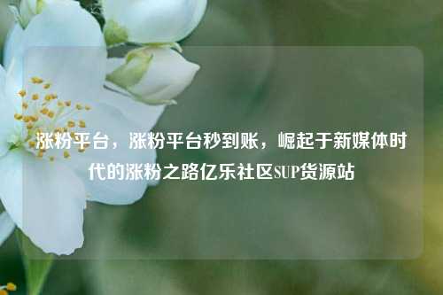 涨粉平台，涨粉平台秒到账，崛起于新媒体时代的涨粉之路亿乐社区SUP货源站  第1张