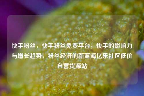 快手粉丝，快手粉丝免费平台	，快手的影响力与增长趋势，粉丝经济的新蓝海亿乐社区低价自营货源站  第1张